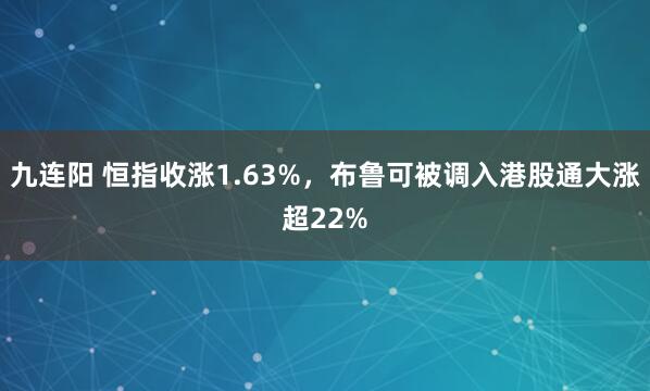 九连阳 恒指收涨1.63%，布鲁可被调入港股通大涨超22%